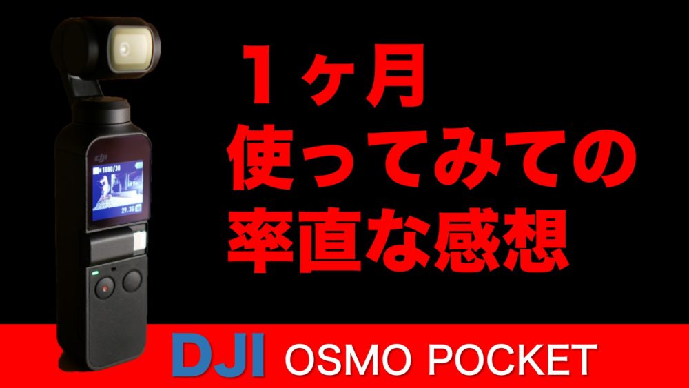 DJI OSMO POCKETを使って１ヶ月レビューとその他検証